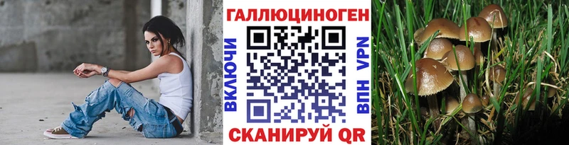 блэк спрут   Кувшиново  Галлюциногенные грибы Magic Shrooms 